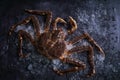 King crab crab Ã¥Â¸ÂÃ§Å½â¹Ã¨Å¸Â¹ Ã£âÂ¿Ã£ÆÂ©Ã£ÆÂÃ£âÂ¬Ã£Æâ¹ Royalty Free Stock Photo